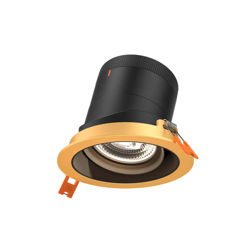 4in Modular Downlight, , 35 Degree Beam Angle, Gimbal Reflector, Black, Gold Trim | RC04-CC-35-GMBBK-TGD