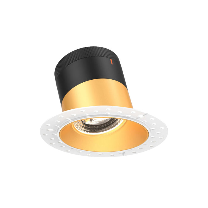 4in Modular Downlight, 5cct, 20 Degree Beam Angle, Slope Ceiling, Gold, Trimless | RC04-CC-20-SLGD-TL