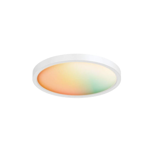 Dals 14 Inch Smart RGB+CCT Flush Mount