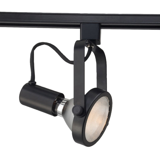 Trackhead, Par30, 75w, Black | TK-HGP30-01