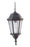 Craftmade Chadwick 1 Light Outdoor Pendant in Oiled Bronze Gilded