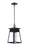 Craftmade Becca 1 Light Large Outdoor Pendant in Textured Black