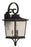 Craftmade Tillman 3 Light Medium Outdoor Wall Lantern in Dark Bronze Gilded