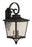 Craftmade Tillman 3 Light Large Outdoor Wall Lantern in Dark Bronze Gilded